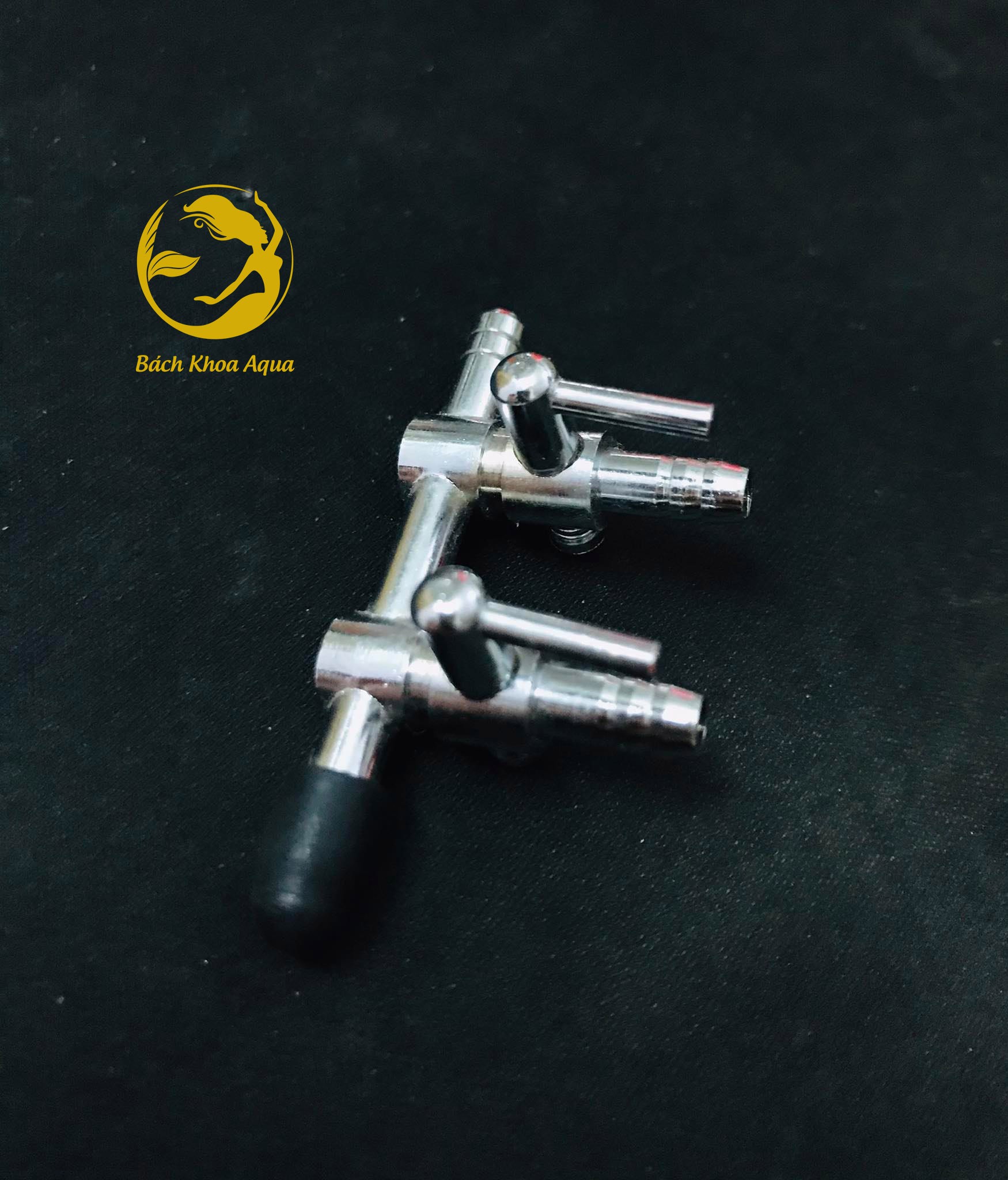 Chia sủi Inox - Nhỏ